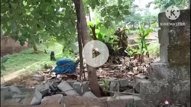 घाघरा: सरईडीह गांव में जंगली हाथी ने ग्रामीण की चारदीवारी तोड़ी, पीड़ित ने मुआवजे की मांग की