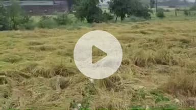 दीगोद: राजस्थान के ऊर्जा मंत्री हीरालाल नगर दीगोद क्षेत्र के दौरे पर, बेमौसम बारिश से हुए नुकसान का लिया जाएगा जायजा