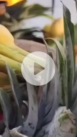 कानपुर: छठ पूजा पर नहरों में लाखों श्रद्धालुओं की भीड़, महापौर ने उगते सूरज को दिया अर्घ्य