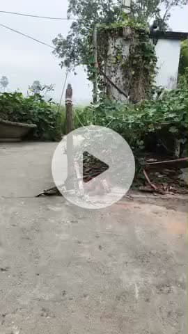 jamui #bihar #nezgtrhyygev