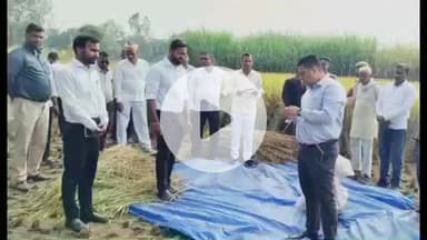 सोहावल: जिलाधिकारी निखिल टीकाराम फुंडे ने अरुवावा ग्राम पंचायत में धान की क्रॉप कटिंग का लिया जायजा