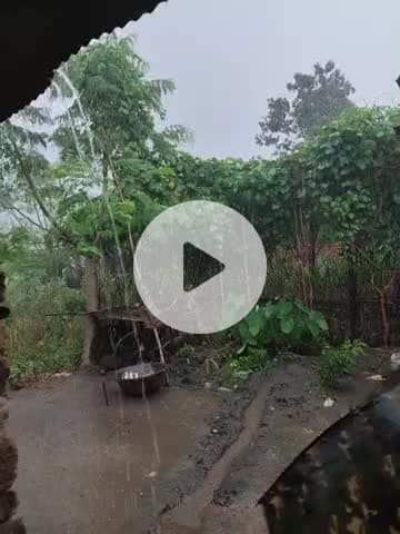 बे मौसम बे बारिश Jharkhand Manpur pihra me