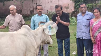 मुंगेर: गोपाष्टमी पर मुंगेर सेवा मंच के सदस्यों ने गौशाला में गौ माता का पूजन किया