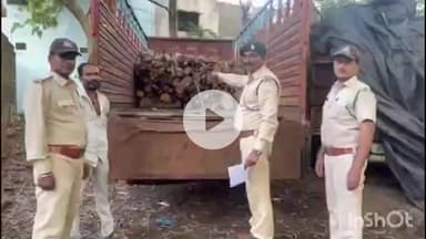 धार: नालछा में वन विभाग की टीम ने लाखों रुपये की अवैध लकड़ी से भरा वाहन ज़ब्त किया
