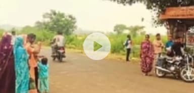 ढीमरखेड़ा: पिंडरई प्रतीक्षालय में सांप निकलने से अफरा-तफरी मची