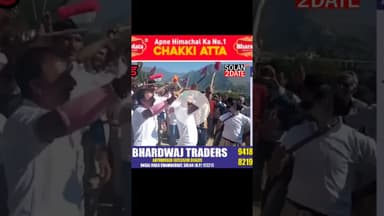 हिमाचली कल्चर, ट्रेडिशनल ठोडा नृत्य #solan #Thoda #dance #cultura #traditional #Osm #viralreelschall