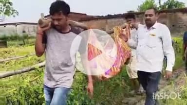 ब्यौहारी: देवलौंद के धारी नंबर दो में महिला की मौत, सड़क न होने से लोगों ने डोली में शव ढोया, वीडियो वायरल