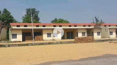 पूरनपुर: मंडी में धान खरीद न होने से किसान परेशान, भाकियू की चेतावनी का नहीं दिखा असर