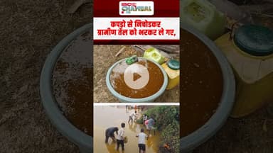 चम्बल में सरसों के तेल की लूट | Morena News