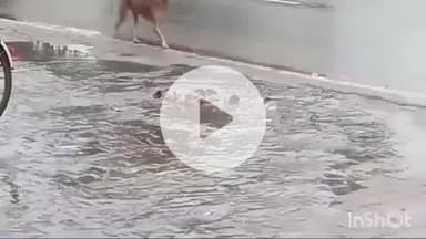 हाथरस: मथुरा रोड मधुगड़ी के पास आरओ वॉटर पाइपलाइन फटने से सैकड़ों लीटर पानी सड़क पर बहा, ठेकेदारों की घटिया सामग्री से लोग आक्रोशित