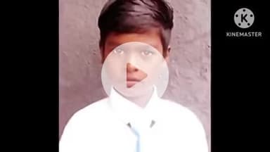 समुद्रपूर: सर्पदंशाने १० वर्षीय बालकाचा दुर्दैवी मृत्यू:येदलाबाद येथील घटना:दंश करणाऱ्या सापाला सर्पमित्राने केले जेरबंद