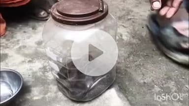 बिधूना: बेला क्षेत्र के याकूबपुर गांव में घर में सर्प निकलने से मचा हड़कंप, सपेरे की मदद से पकड़ा गया सर्प