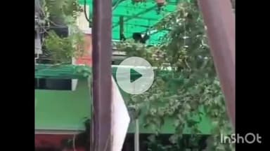 दुर्ग: दुर्ग जिले के भिलाई में एक रिटायर्ड बीएसपी कर्मी ने किया सुसाइड