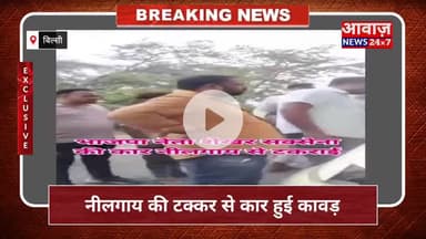 #भाजपा नेता शेखर #सक्सेना की इनोवा #कार नीलगाय से #टकराई #एयरबैग खुलने से #बची जान #बिल्सी #बदायूं #खेरी #हादसा