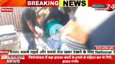 फिरोजाबाद में बड़ा हादसा, बंदरों के हमले से महिला छत से गिरी, हालत गंभीर।



#nationaltoday24 #firozabadnews #firozaba