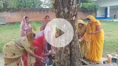 सिराथू: देवीगंज में मनाया गया आंवला नवमी पर्व, महिलाओं ने आंवला के पेड़ के नीचे बैठकर परिवार सहित खाया खाना