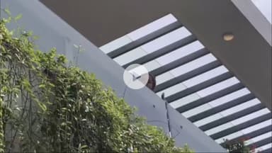 इंदौर: सास और माँ की गुहार, बहु ने कैंसर मरीज ससुर पर रेप का आरोप लगाकर किया प्रताड़ित