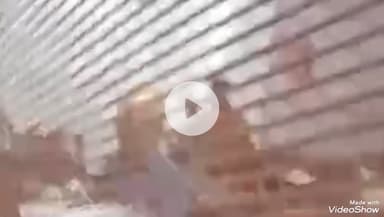 मिर्ज़ापुर: डंकीनगंज डाकखाने में महिला एजेंट ने किया हंगामा, वीडियो वायरल होने पर डाक अधीक्षक ने कहा- जांच के बाद होगी कार्रवाई