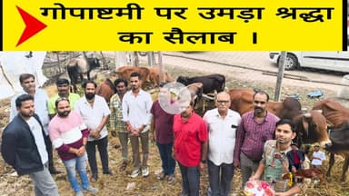 गोपाष्टमी पर उमड़ा श्रद्धा का सैलाब ।