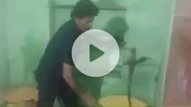 लाडपुरा: नयापुरा क्षेत्र के खंड गावड़ी नवदुर्गा मंदिर के निकट 5 फीट लंबा कोबरा मकान की रसोई में घुसा, लोग आए दहशत में