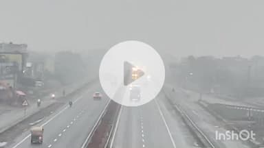 दौसा: दौसा में फिर शुरू हुई बरसात, इस सीज़न में हाईवे पर छाया घना कोहरा, वाहन रेंगते हुए गुजरे, सर्दी ने बढ़ाई ठिठुरन