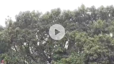 कानपुर: कानपुर में पिछले 24 घंटे से लगातार हो रही बारिश, मौसम वैज्ञानिक ने दी जानकारी