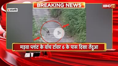 Leopard in Janjgir: मड़वा प्लांट के पास दिखा तेंदुआ। वन विभाग की टीम ने ग्रामीणों को किया अलर्ट