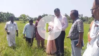 கூத்தாநல்லூர்: திருராமேஸ்வரம் பகுதியில் பயிர் சேதம் அடைந்துள்ளதை வேளாண்மை அலுவலர்கள் நேரில் ஆய்வு