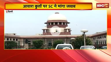 Stray Dogs Case : आवारा कुत्तों पर SC ने मांगा जवाब। मुख्य सचिवों को कोर्ट में पेश होने का आदेश