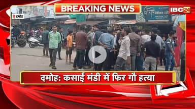 Damoh Cow Slaughter: कसाई मंडी में फिर गौ हत्या। गौ सेवकों ने मौके से मांस किया जब्त