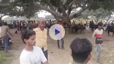 शाहजहांपुर: मदानापुर थाना पुलिस ने नखाशा बाजार से चोरी का बकरा किया बरामद