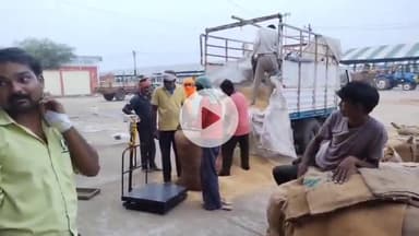 सागर नगर: भावांतर योजना से असंतुष्ट किसान व्यापारियों को बेच रहे सोयाबीन, मंडी में ₹4 हजार प्रति क्विंटल तक बिका