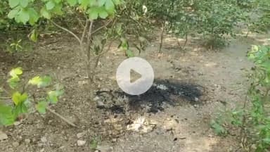 மண்ணச்சநல்லூர்: சமயபுரம் அருகே சனமங்கலம் பகுதியில் எரிந்த நிலையில் கல்லூரி மாணவி சடலம் மீட்பு -மாணவி எரித்துக் கொலையா என போலீசார் விசாரணை