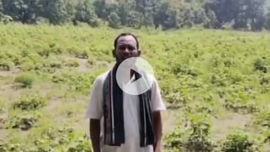 తలమడుగు: అధిక వర్షాలకు పంట నీట మునిగిందని, ప్రభుత్వం ఇస్తానన్న పరిహారం రూ.10వేలు 2 నెలల అయిన ఇవ్వలేదని రైతు జ్ఞానేశ్వర్ ఆవేదన