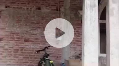 पट्टी: भरोखन गांव में विद्युत कनेक्शन न होने का वीडियो हुआ वायरल, एसडीओ ने कहा- जांच के बाद होगी कार्रवाई