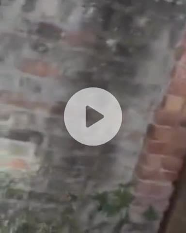 जगाधरी: गोल्डी गांव में भूसे के कमरे में दिखा अजगर, वन विभाग की टीम ने मौके पर पहुंचकर किया रेस्क्यू