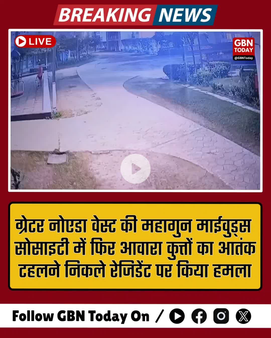 ग्रेटर नोएडा वेस्ट की महागुन माईवुड्स सोसाइटी में फिर आवारा कुत्तों का आतंक #GreaterNoidaWest #MahagunMywoods #StrayDogs