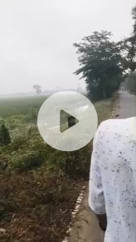 dumariya gav ke chugule loga