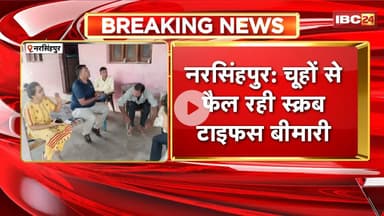 Narsinghpur News: चूहों से फैल रही स्क्रब टाइफस बीमारी। साईंखेड़ा, झामर, करेली गांव से मिले मरीज