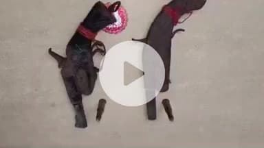 कोईलवर: रतनपुर से दो देसी कट्टे और दो जिंदा कारतूस के साथ दो गिरफ्तार, चांदी थाना पुलिस ने भेजा जेल