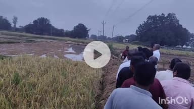 सिहावल: सिहावल विधायक ने सीधी जिले में किसानों की फसल का किया निरीक्षण