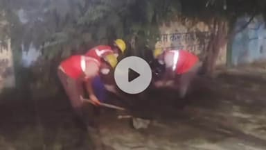 शाहबाद: नगर पालिका द्वारा हाईवे पर रात के वक्त चलाया जा रहा सफाई अभियान