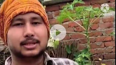 दौसा: जिले के विभिन्न क्षेत्रों में गोवंश के सूखे कुएँ में गिरने की घटनाओं पर गौ सेवकों ने जताया आक्रोश, प्रशासन से की अपील