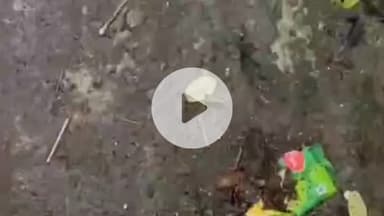 मेदिनीनगर (डालटनगंज): मुस्लिमनगर में चार राउंड फायरिंग मामले में नामजद प्राथमिकी दर्ज, दो खोखे और एक जिंदा गोली बरामद