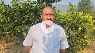 नमहोल: दुबई प्रतिनिधिमंडल ने एचपी शिवा परियोजना के फलों और कट फ्लावर के निर्यात में दिखाई गहरी रुचि