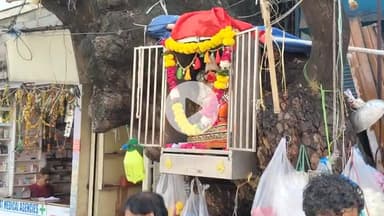 झांसी अद्भुत हनुमान जी विराजमान है 31 साल से नीम के पेड़ पर मालिन के चौराहा बड़ा बाजार में