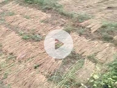 ग्राम पंचायत जोगिनी धनबहबा टोला में