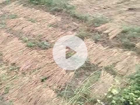ग्राम पंचायत जोगिनी धनबहबा टोला में