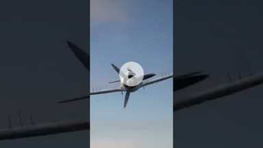 B-17 Pilot Attacked the Copilot || Voice of Sea ||  #aviation #cargoship #b17bomber #b17 #facts