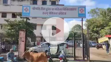 झालरापाटन: झालावाड़ में नाबालिग से दुष्कर्म, गर्भवती होने पर हुआ खुलासा, ताऊ के लड़के पर आरोप, पुलिस ने मामला दर्ज किया